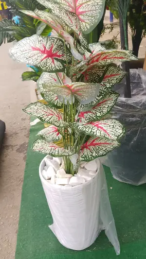 Flower Pot