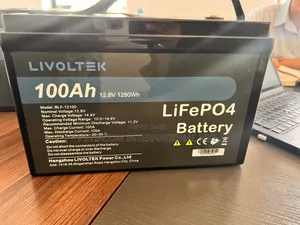 Livoltek Deep Cycle Battery