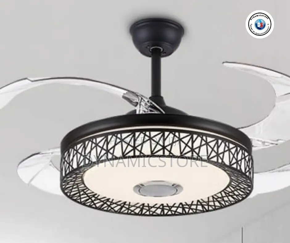 Fan Chandelier Light