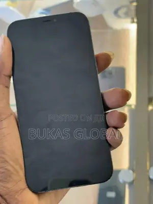 Apple iPhone 12 Pro Max 128 GB Blue