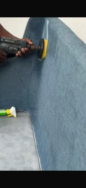 Sofa/Chair Cleaning