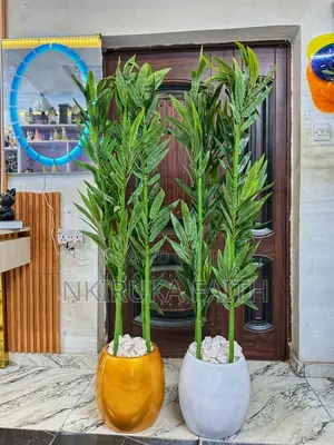 Fiber Pot Plant