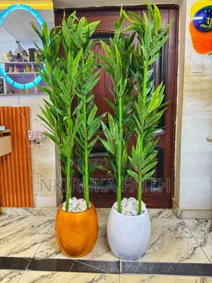Fiber Pot Plant