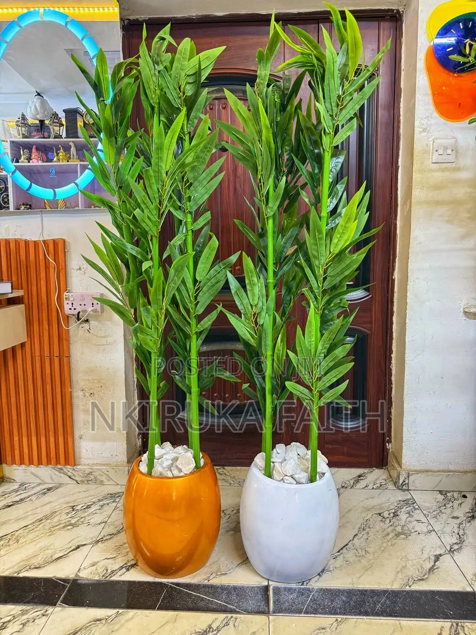 Fiber Pot Plant
