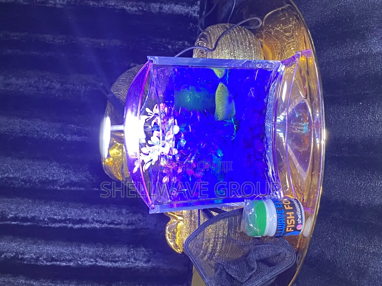 Tabletop Aquarium Bowl Complete Setup