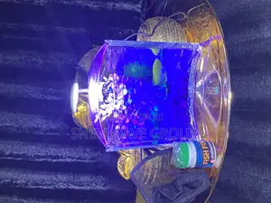 Tabletop Aquarium Bowl Complete Setup