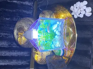 Tabletop Aquarium Bowl Complete Setup