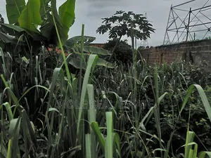 6 Plots Land 4 Sale at Shasha, Egbeda Alimosho