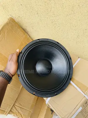 12 Inches Line Array Speaker