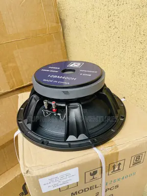 12 Inches Line Array Speaker