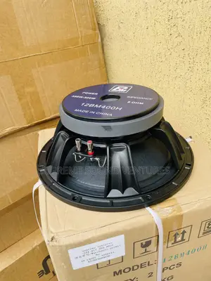 12 Inches Line Array Speaker
