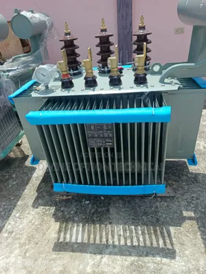 100kva 11kv/400v Astor Transformer