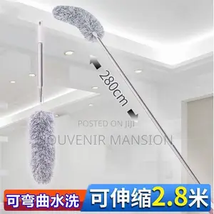 Extendable Cobweb Remover