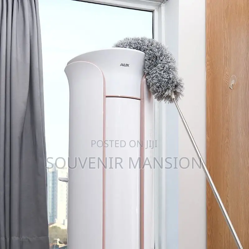 Extendable Cobweb Remover