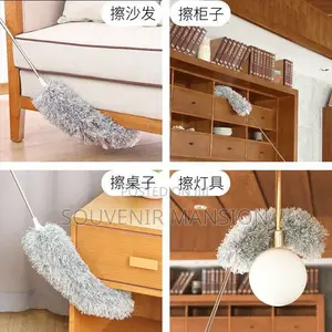 Extendable Cobweb Remover