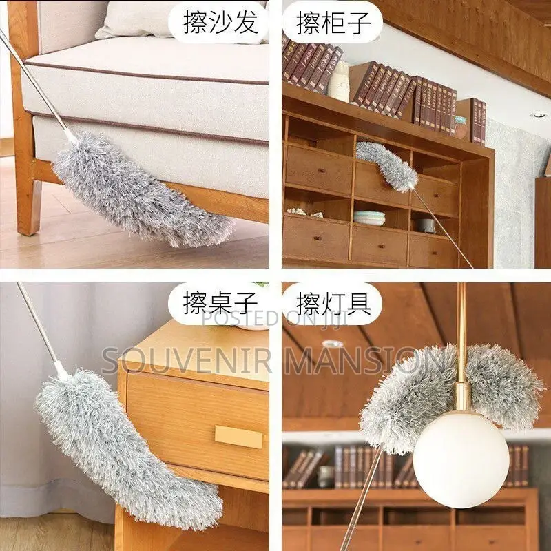 Extendable Cobweb Remover