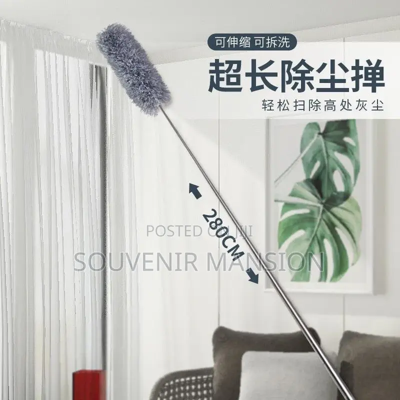 Extendable Cobweb Remover