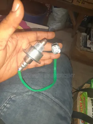 Oxygen Sensor