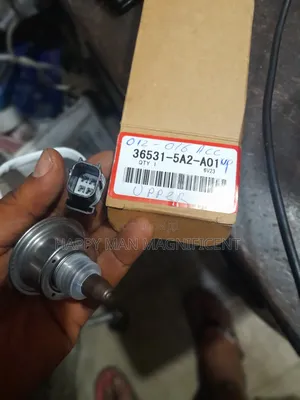 Oxygen Sensor