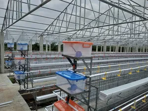 High Quality Battery Cage for Farmers