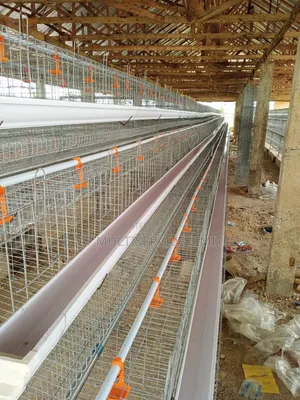 Poultry Cage Solution for Your Farm