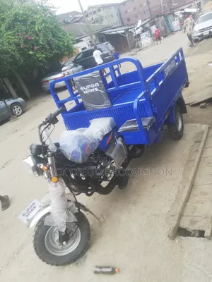 New Tricycle 2025 Blue