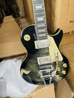 Professional Gibson Guitar
