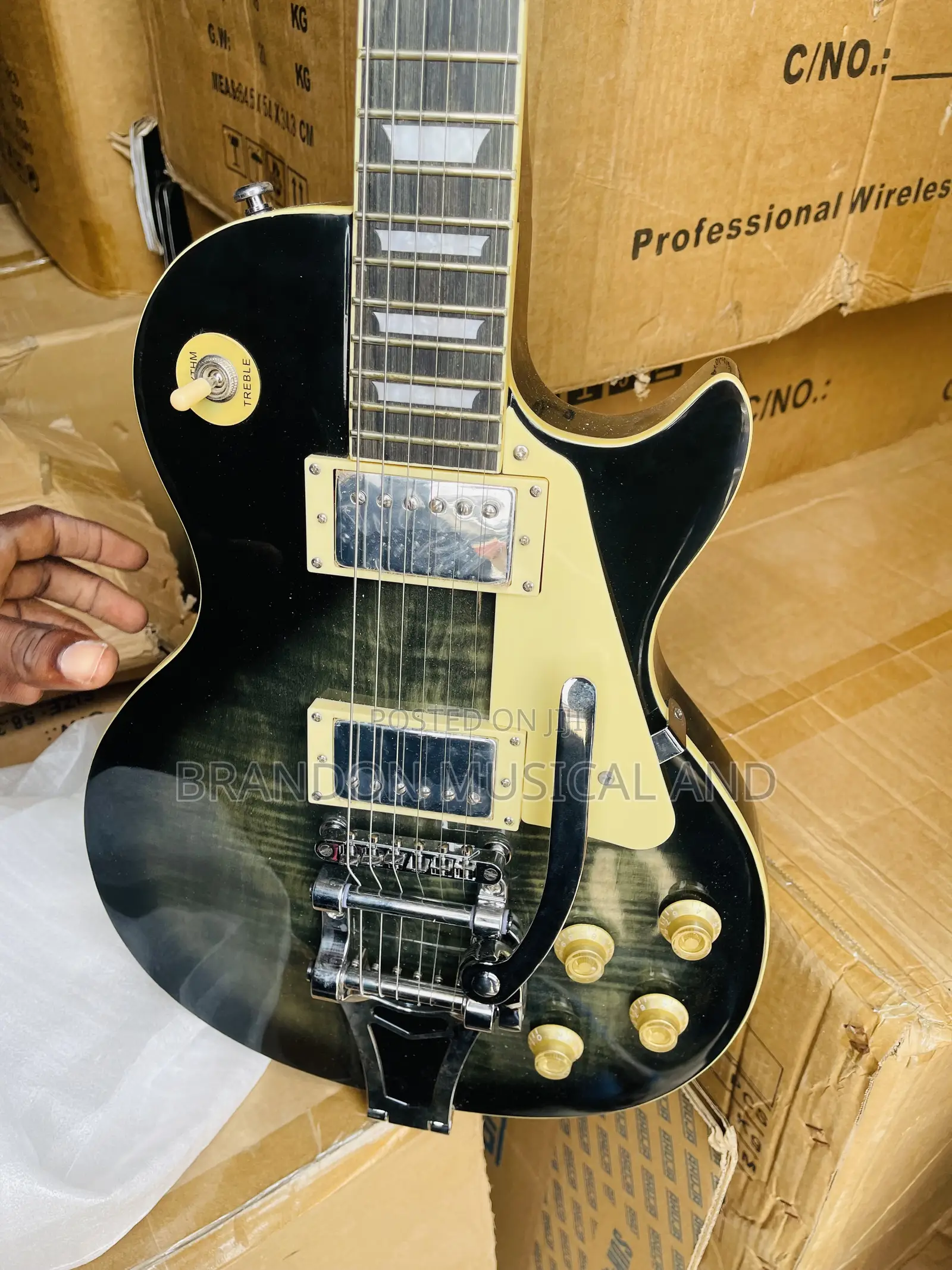 Professional Gibson Guitar