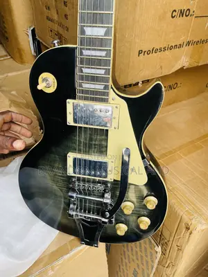 Professional Gibson Guitar