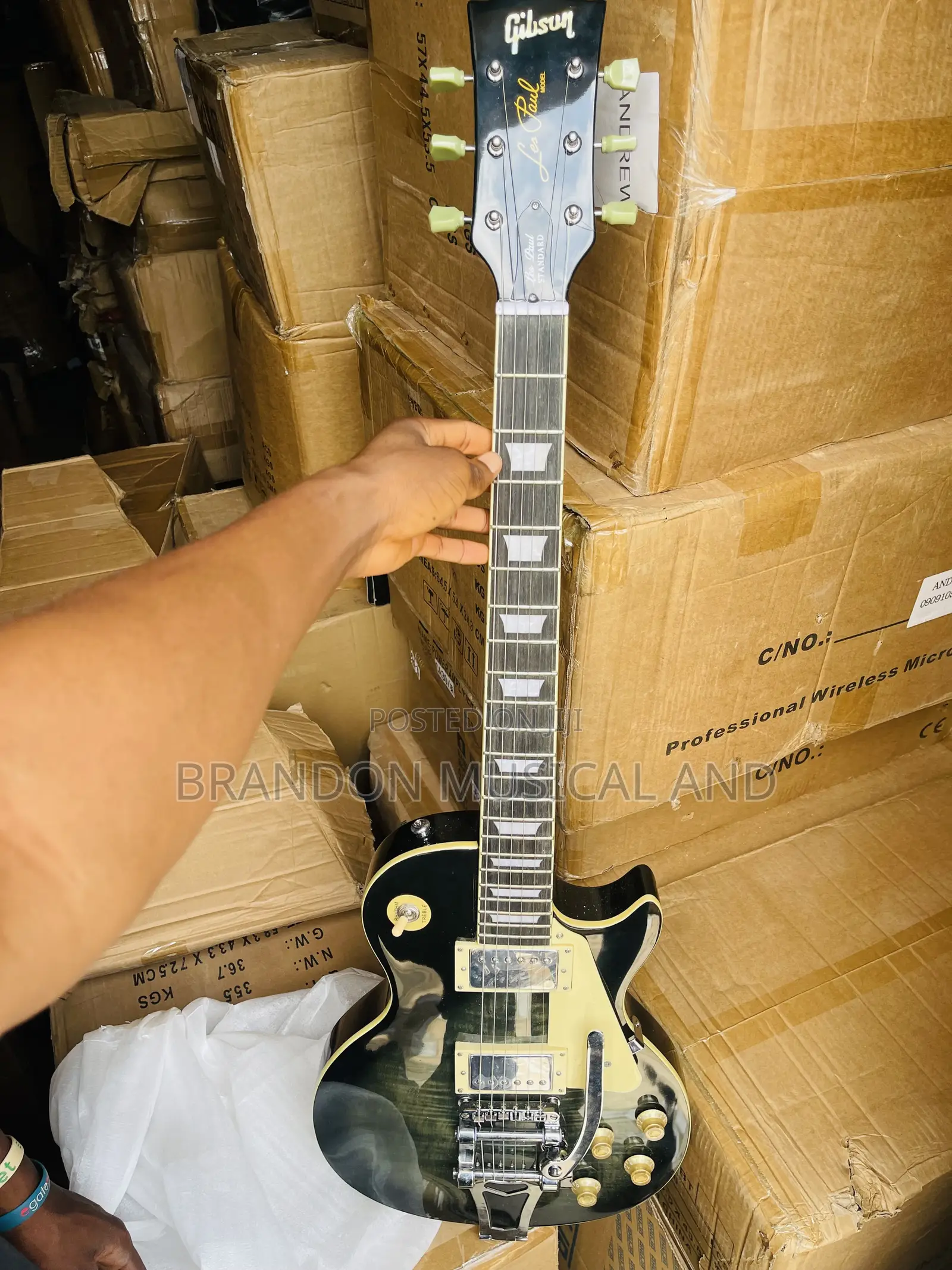 Professional Gibson Guitar
