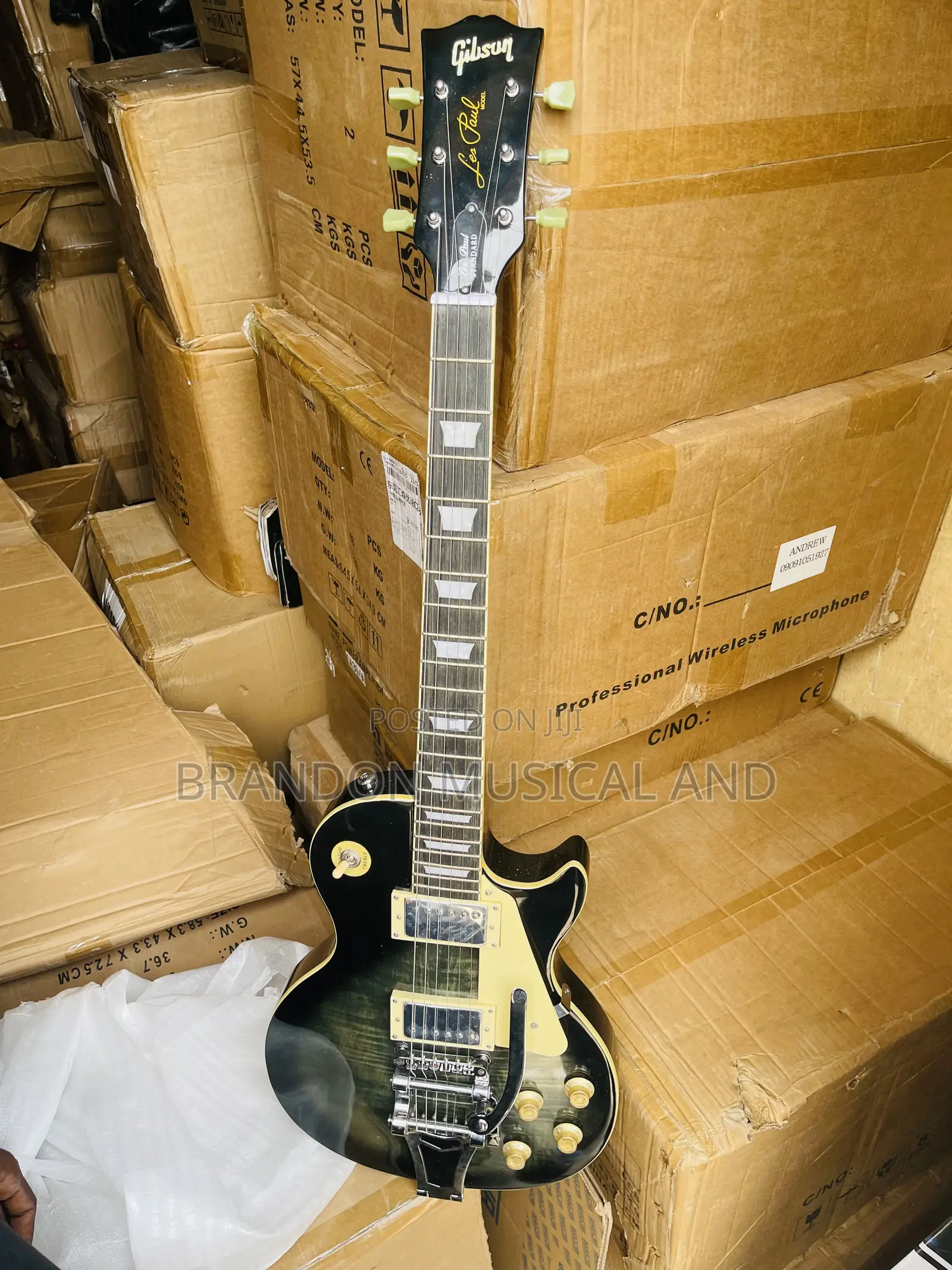 Professional Gibson Guitar