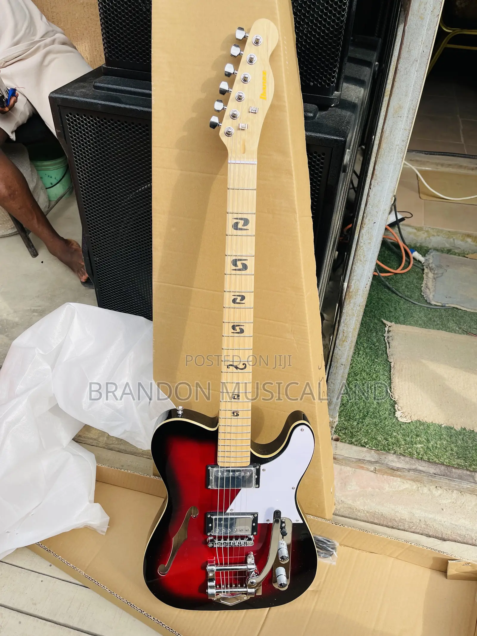 Ibanez Guitar