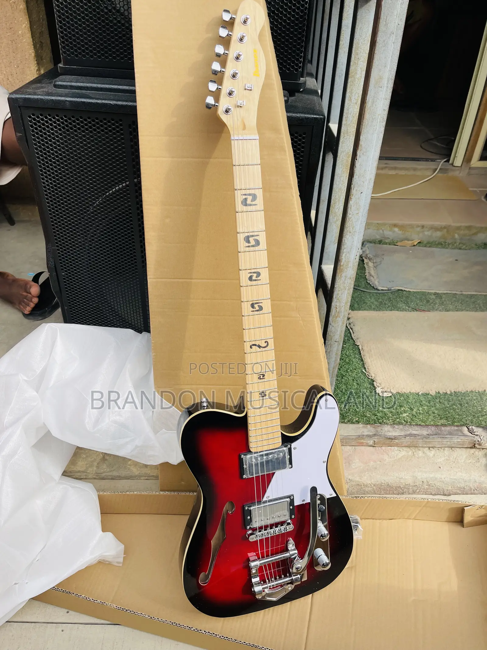 Ibanez Guitar