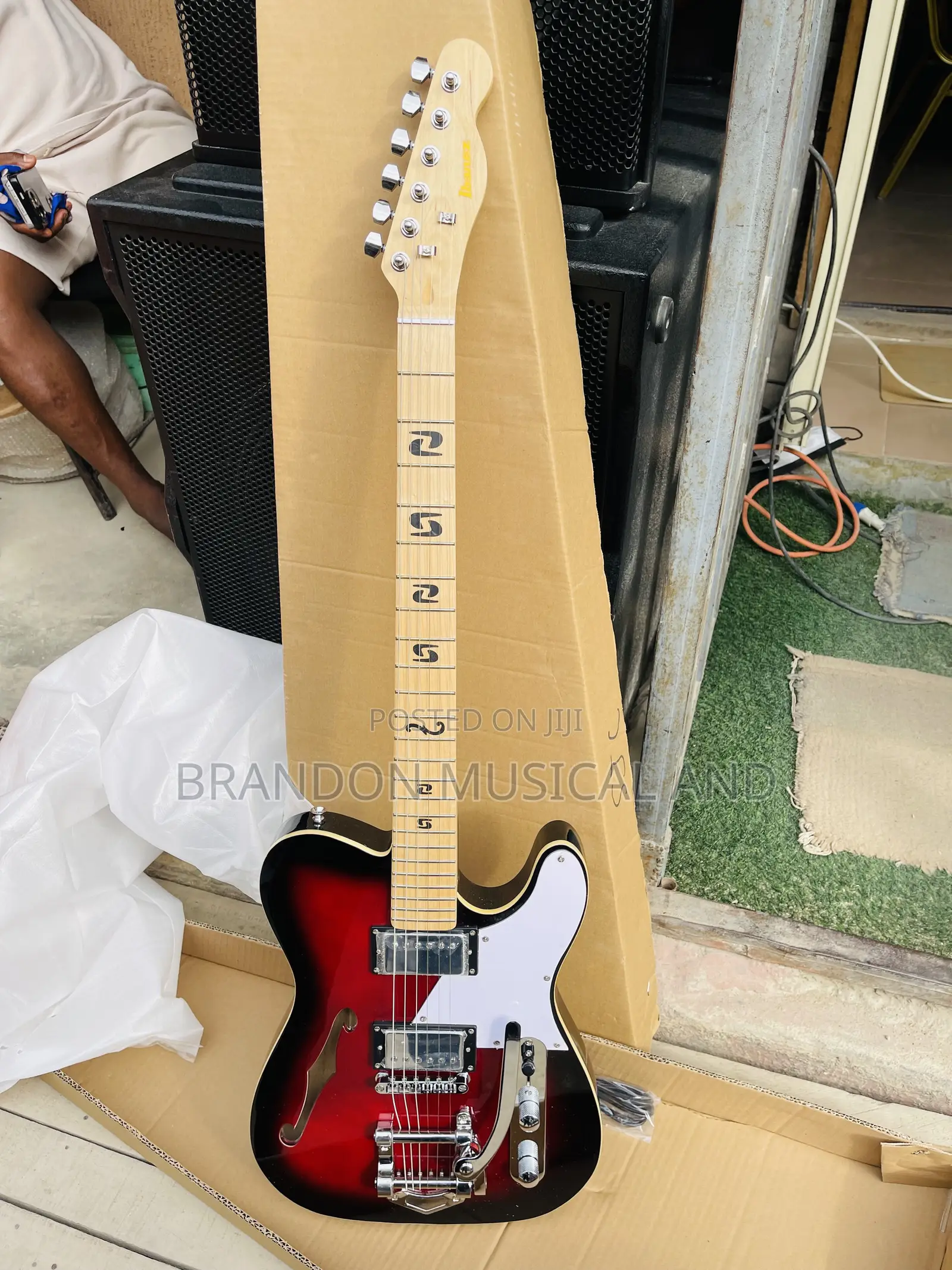 Ibanez Guitar