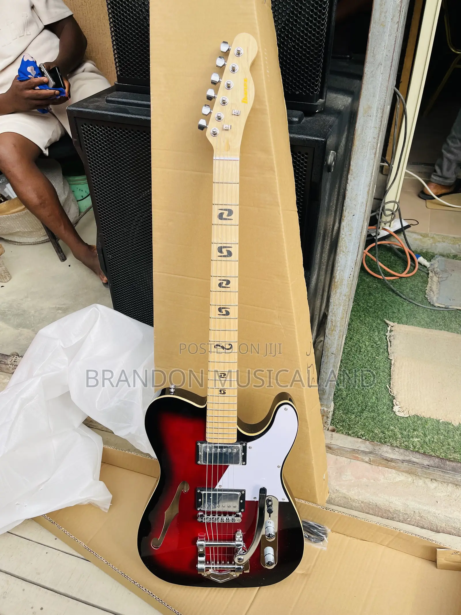 Ibanez Guitar