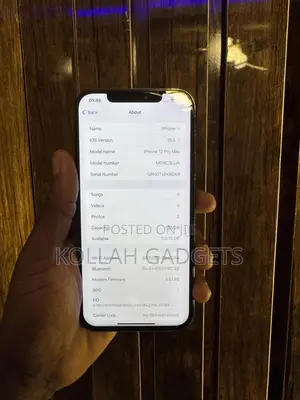Apple iPhone 12 Pro Max 128 GB Gray