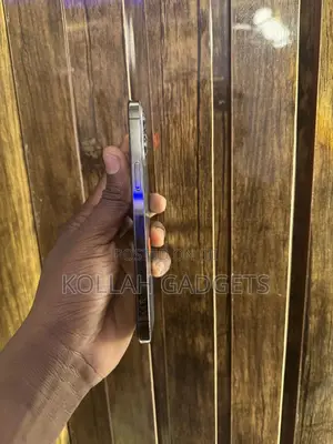 Apple iPhone 12 Pro Max 128 GB Gray