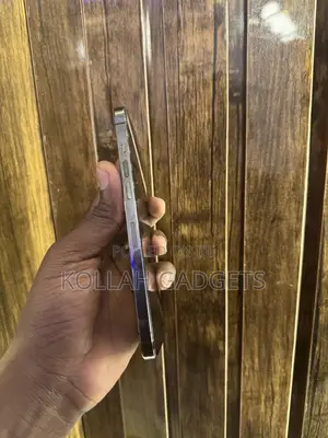 Apple iPhone 12 Pro Max 128 GB Gray