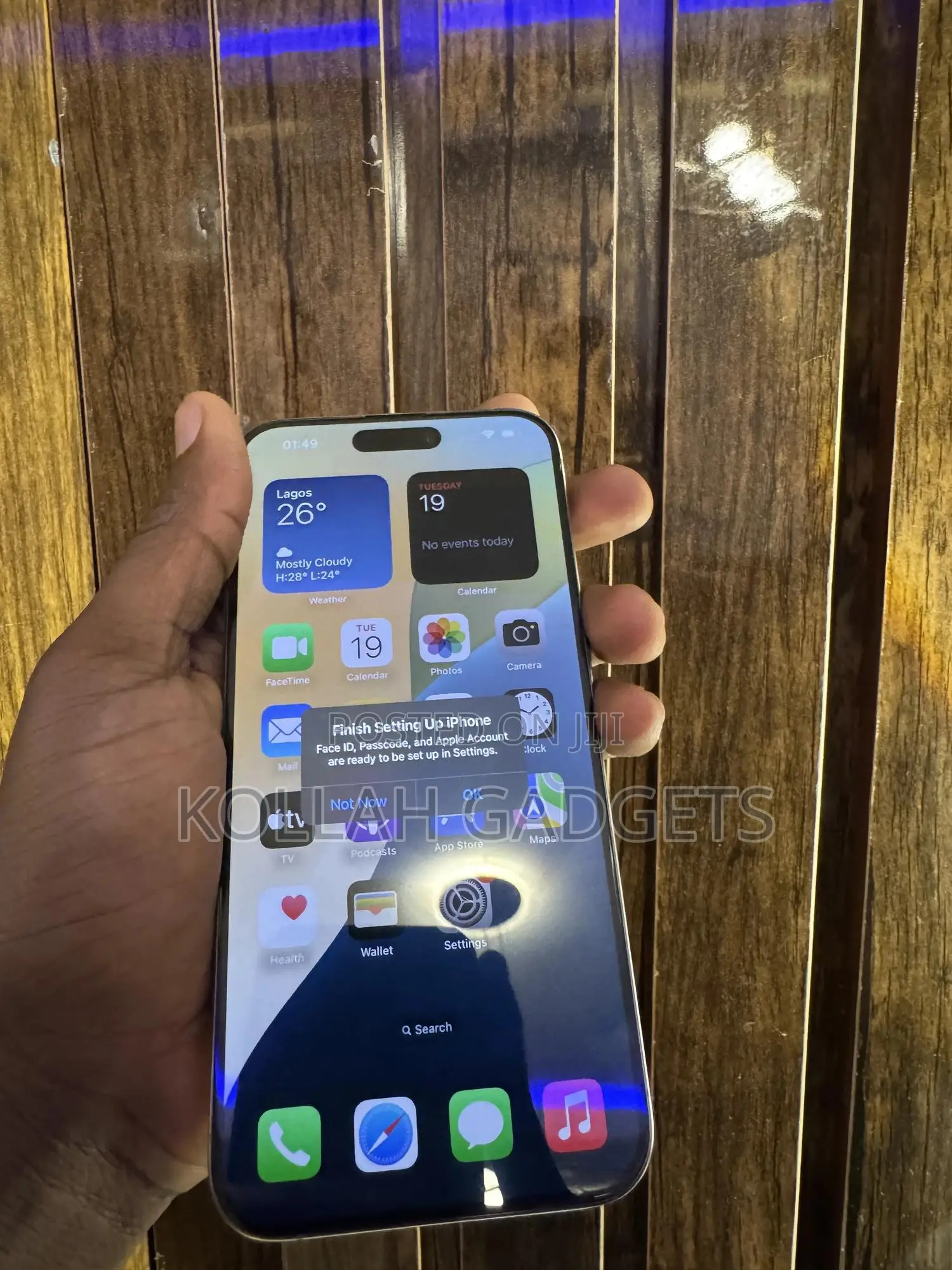 Apple iPhone 15 Pro Max 256 GB Silver