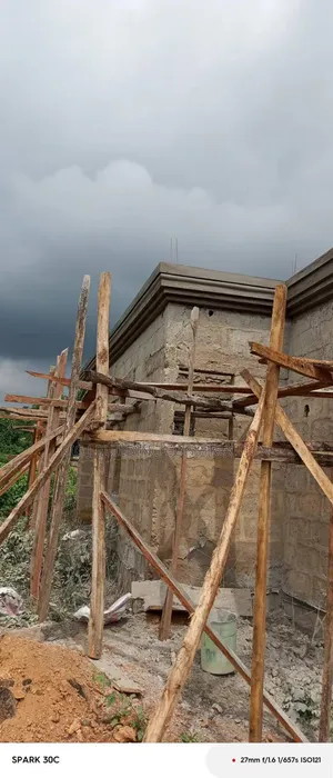 Plastering Artwork