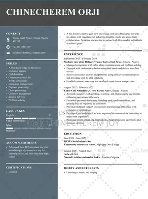 Sales Manager