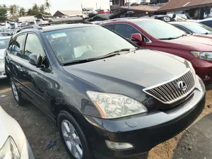 Lexus RX 330 4WD 2005 Gray