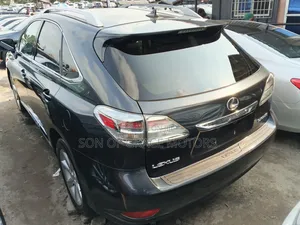 Lexus RX 350 2010 Gray
