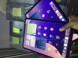 Apple iPad Pro 11 (2024) 256 GB Gray