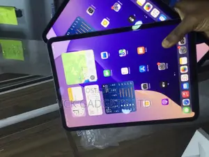 Apple iPad Pro 11 (2024) 256 GB Gray
