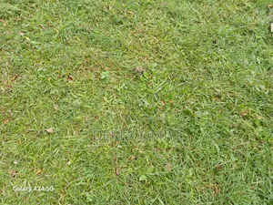 500 SQM Estate Land