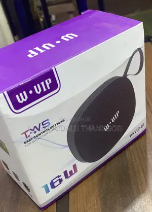 TWS Wireless Portable Speaker