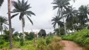 16 Plots for Sale Just Beside Buckingham Park, Adron Estate, Ede, Osun