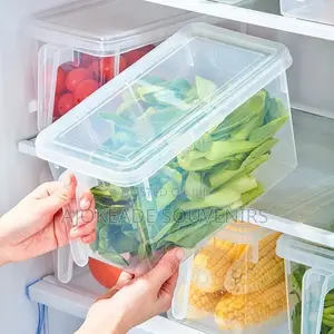 Plastic Fridge Storage With Cover
