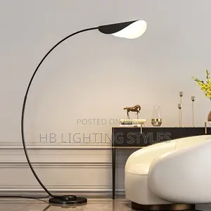 Nordic Black Parabolic Led Floor Lamp